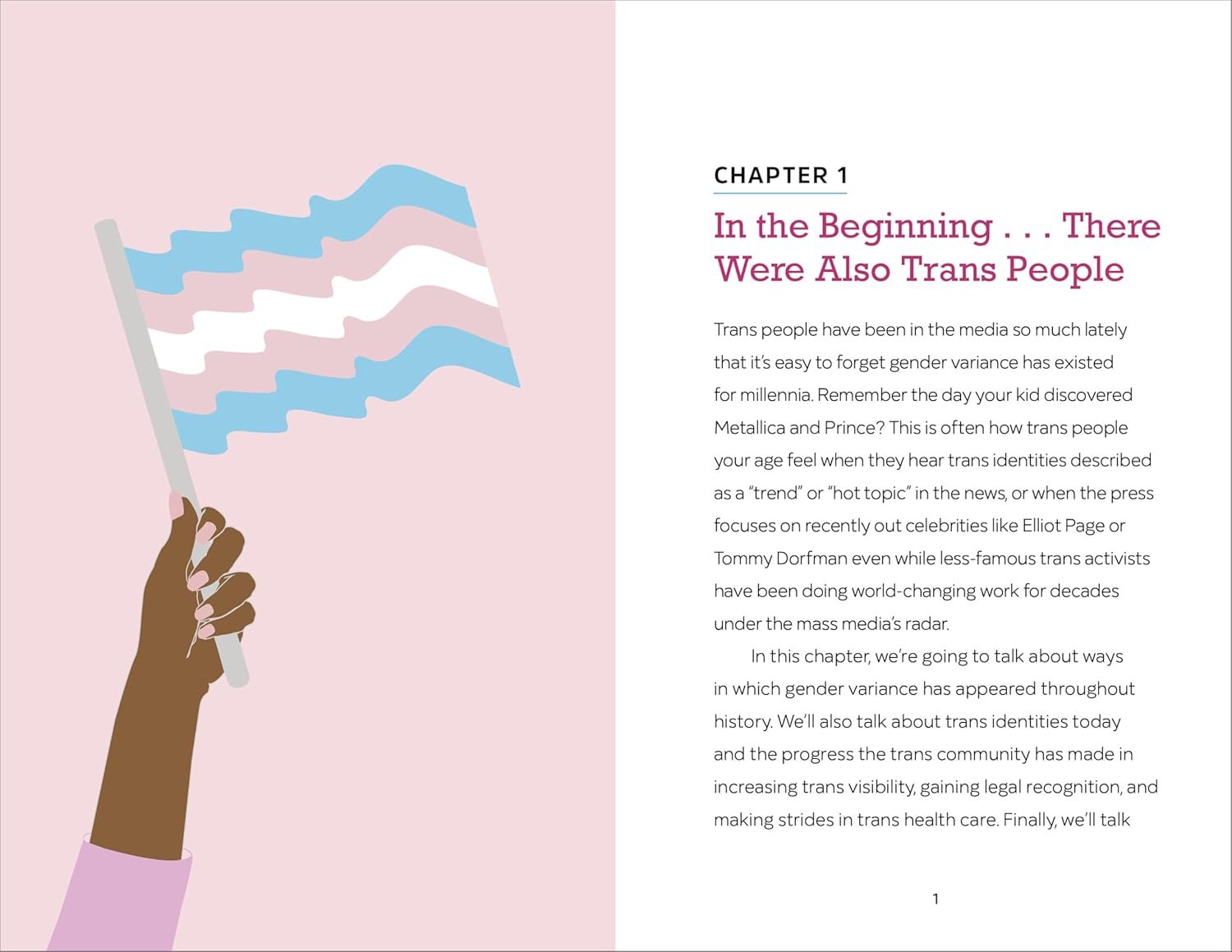 Parenting Your Transgender Teen Review